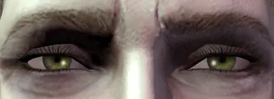 SP-Eyes