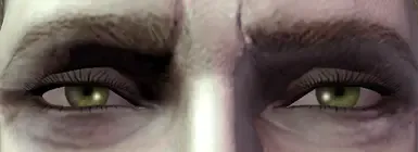 SP-Eyes