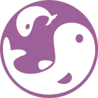 Koi Craft 2