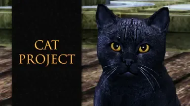 猫计划