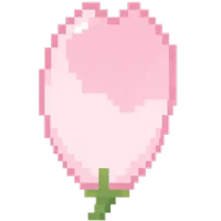 樱花花瓣