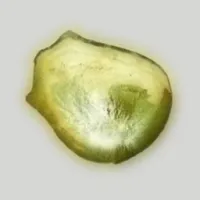 一块钋制成的阿尔宾匙