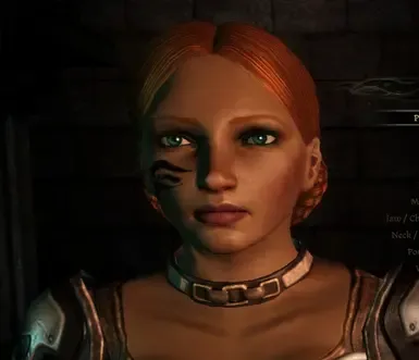 PremadeChars_Stonehard