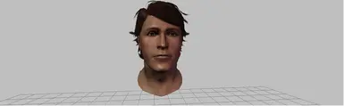 人类预设