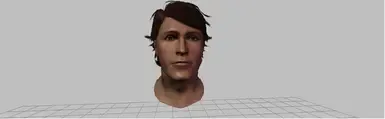 人类预设
