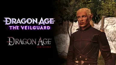 如何将Veilguard装甲移植到Origins
