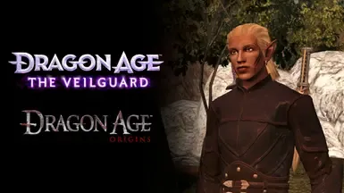 如何将Veilguard装甲移植到Origins