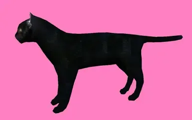 黑猫