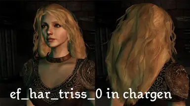 Raptures Witcher的Chargenmorphcfg.xml文件