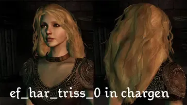 Raptures Witcher的Chargenmorphcfg.xml文件