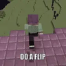 Do a Flip