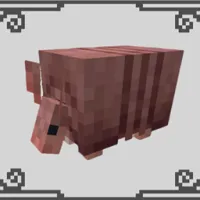 犰狳