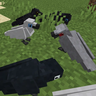 Animal Garden - Common Raven