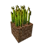 收获