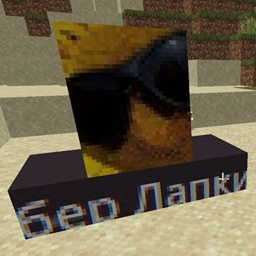 gaysenst