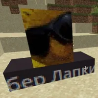 gaysenst