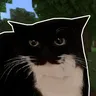 可放置的猫咪麦克斯韦