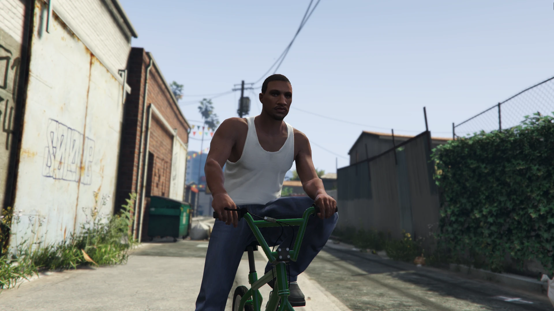 自定义男性角色 MP ''Carl Johnson'' (MENYOO)