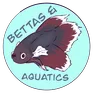 DragN’s Bettas & Aquatics!