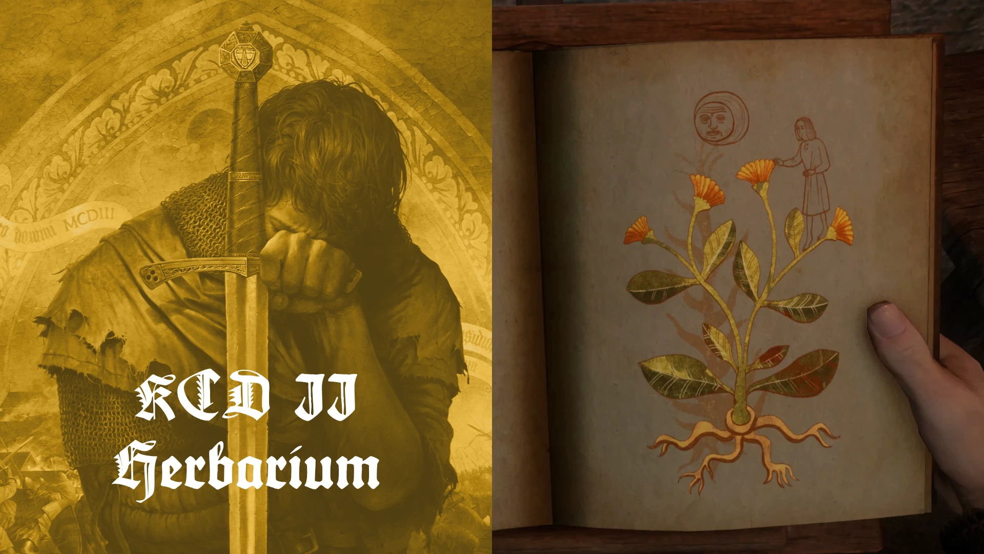 KCD II 植物图鉴