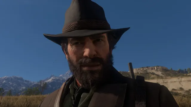 RDR2护理助手 - 马匹与玩家