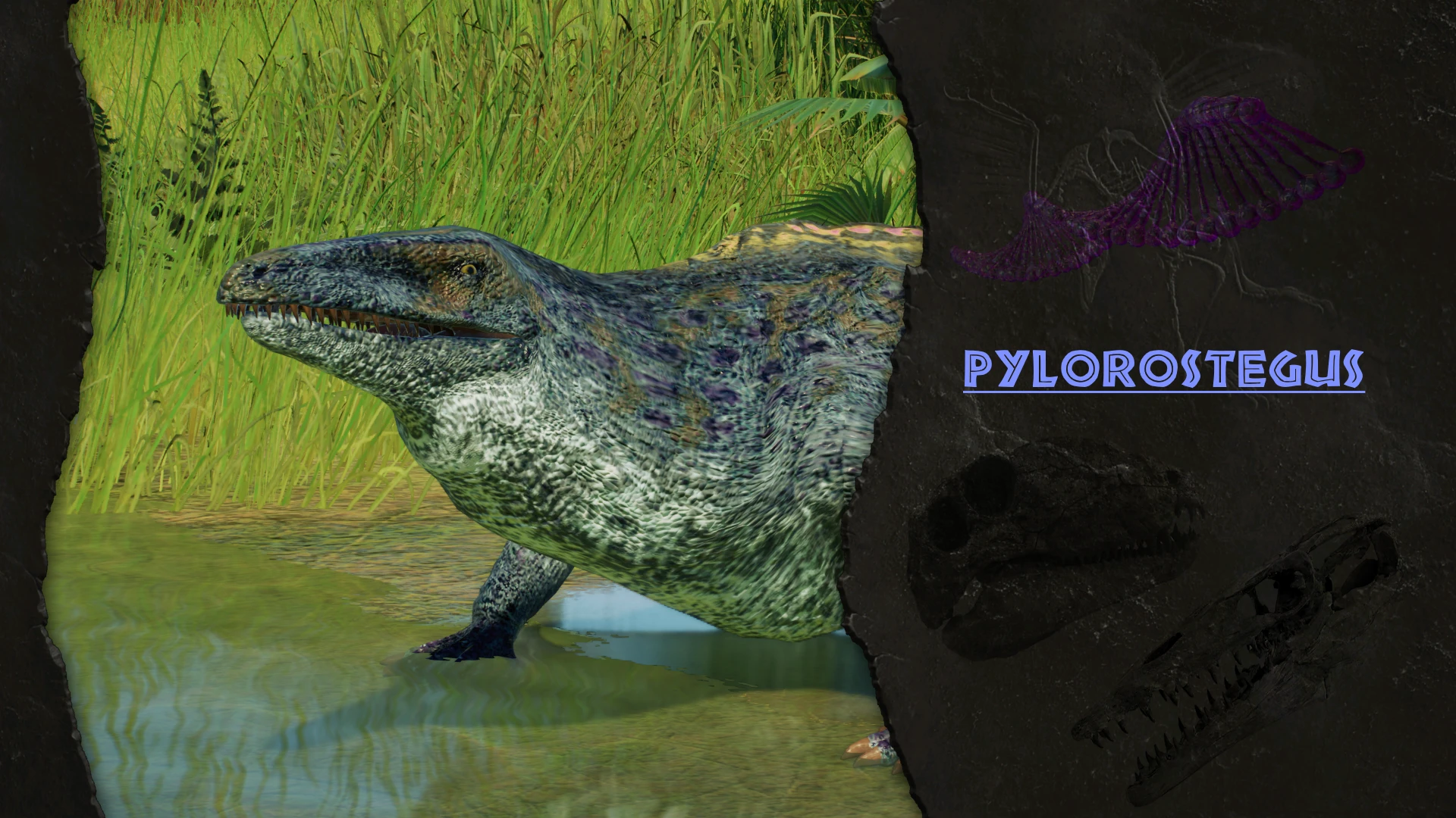 Pylorostegus 新混合物种 (1.11.3)