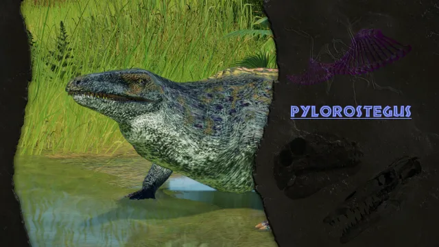 Pylorostegus 新混合物种 (1.11.3)