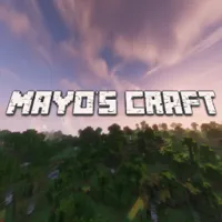 Mayo的工艺