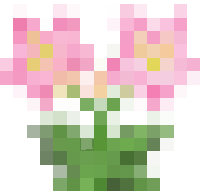 许多花朵
