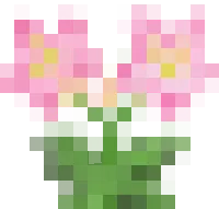 许多花朵