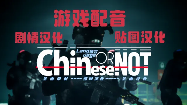 Chinese Or Not(中文语言与语音模组)