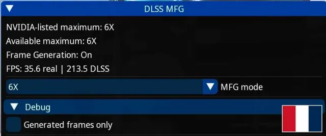 DLSS 帧生成解锁 法语翻译