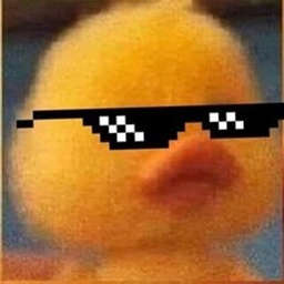 xneoserver