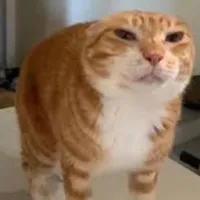 Yahiworld 3