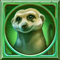Kartofan 1.3