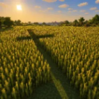 The Official Field SMP