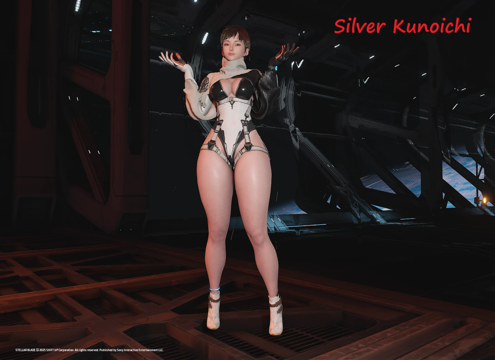 Silver Kunoichi and Shadow Kunoichi