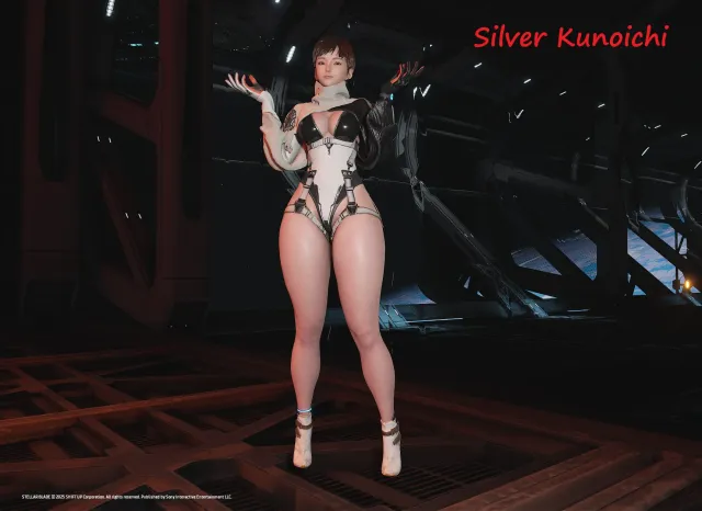 Silver Kunoichi and Shadow Kunoichi