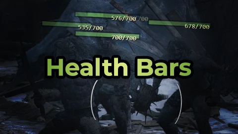 Health Bars