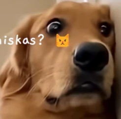 黑洞
