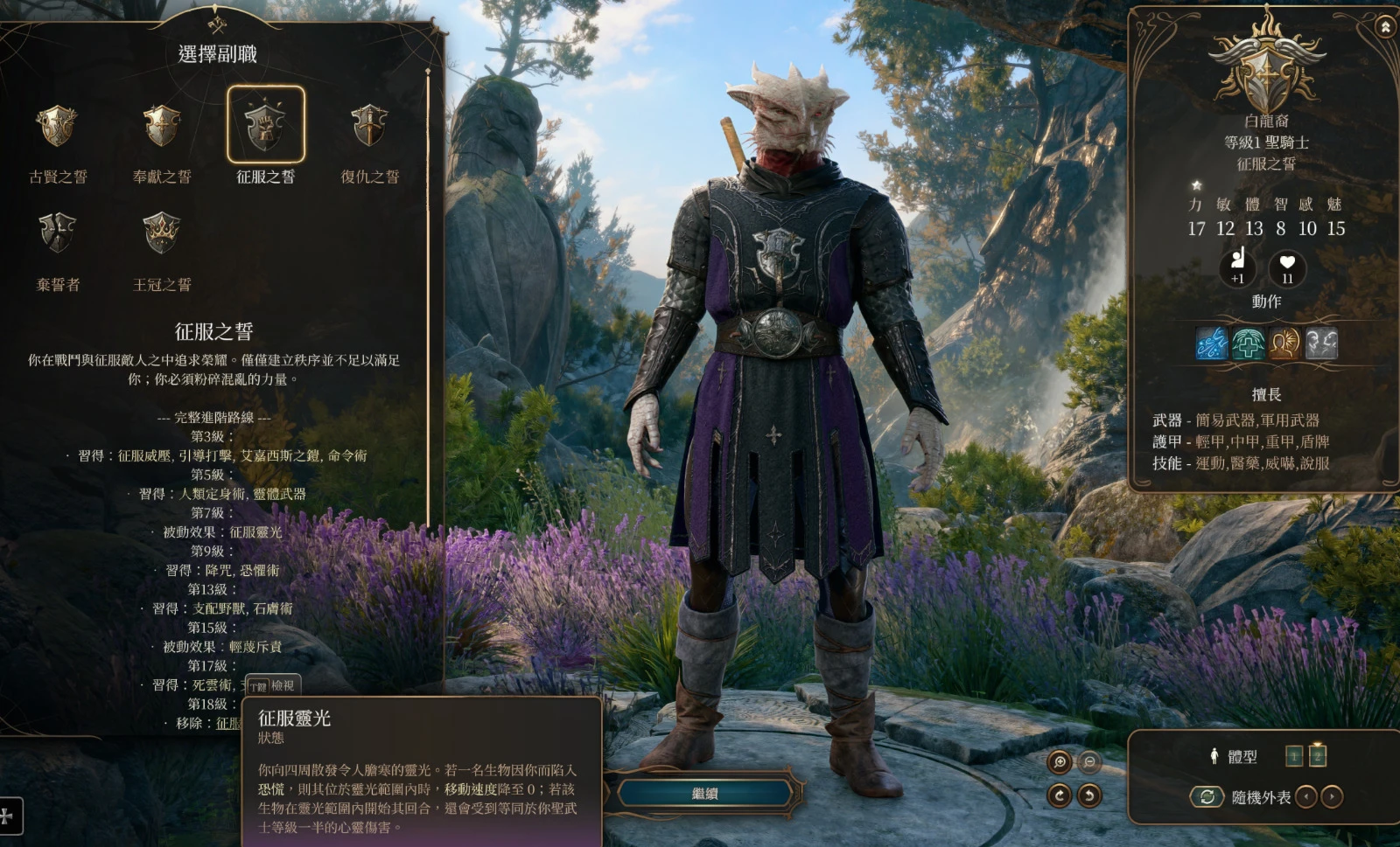 征服之誓圣骑士子职业