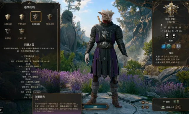 征服之誓圣骑士子职业