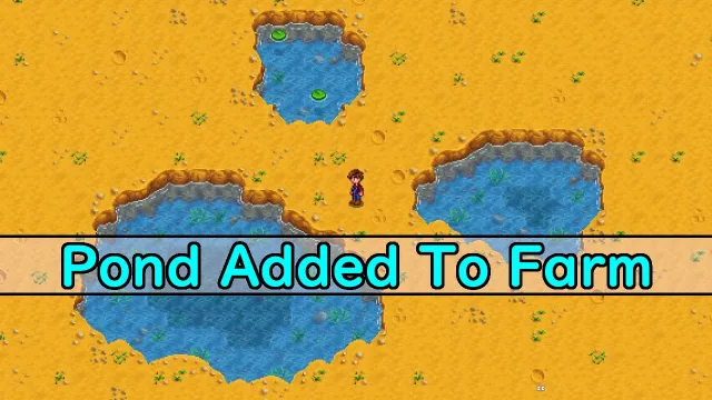 Pond Added To Farm