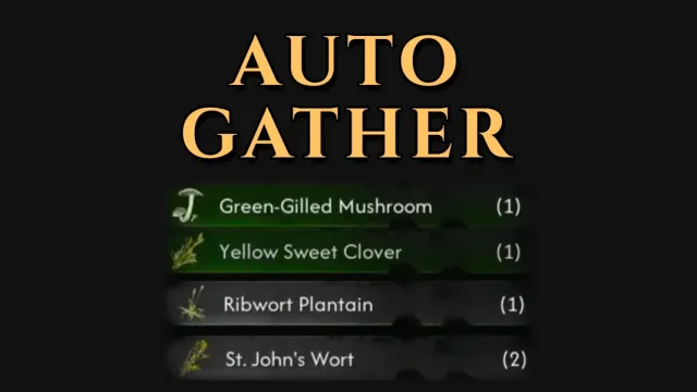 Auto Gathering