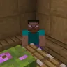 Polysit