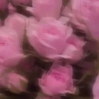 2周阶段回来了