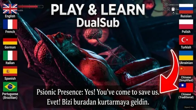 DualSub 双语字幕,助力语言学习