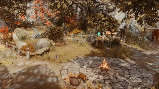 Kikyo's Wilderness Camp Overhaul