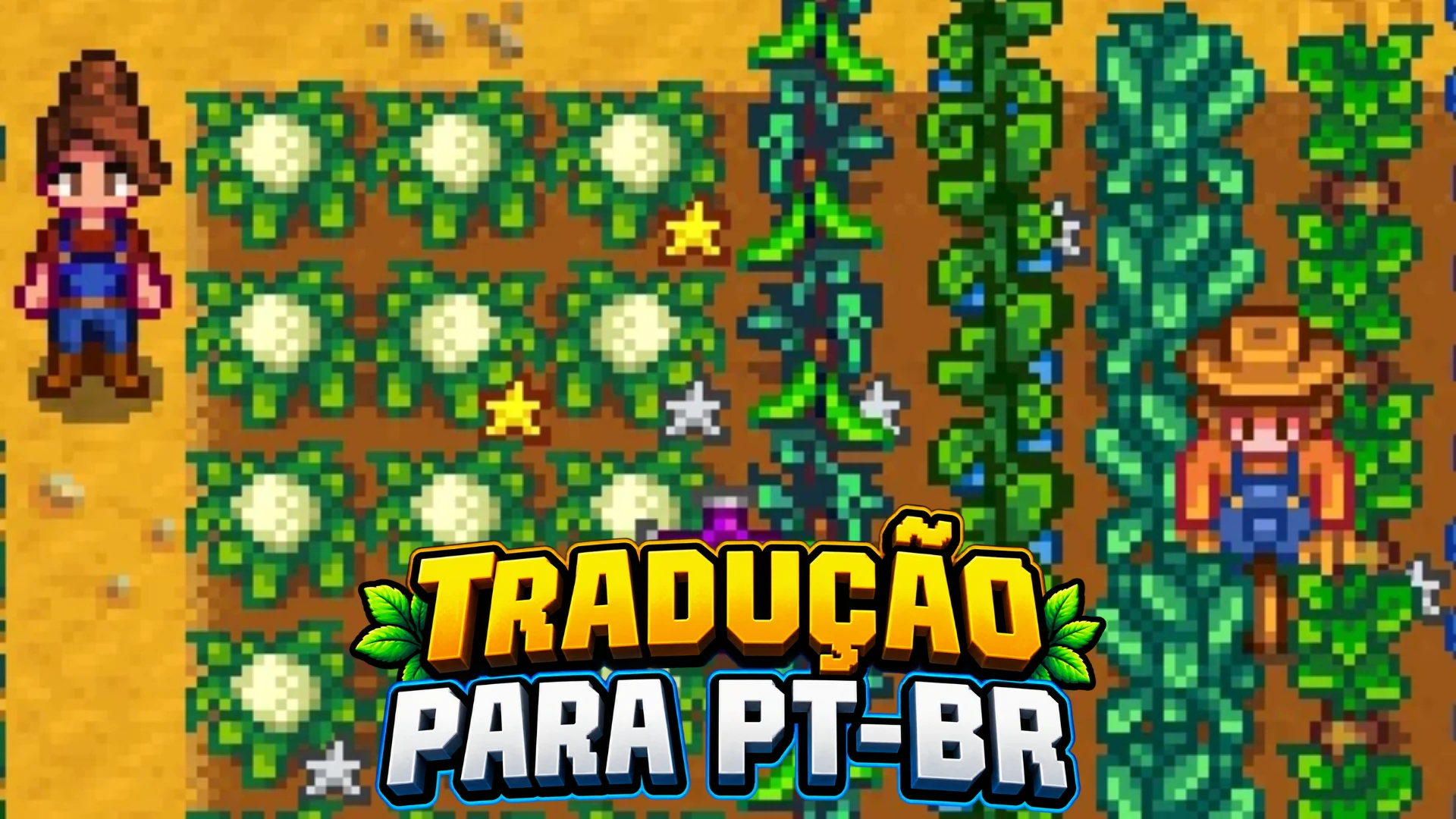 (PT-BR)- 作物品质