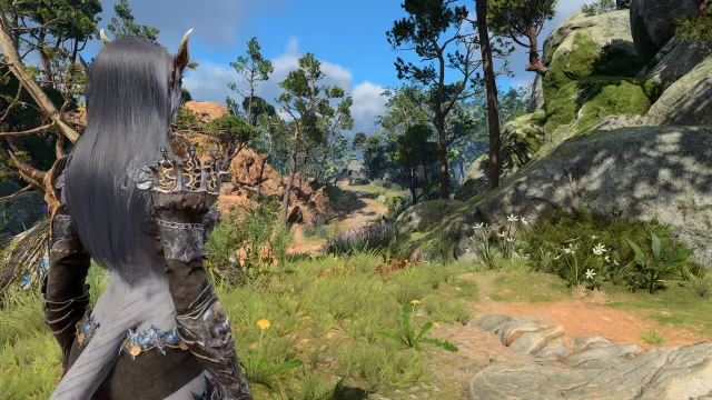 Native Camera Tweaks DrMiller 预设
